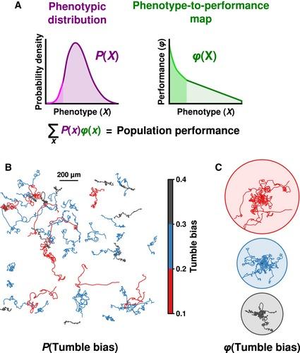 https://cdn.ncbi.nlm.nih.gov/pmc/blobs/effc/5199129/444250a0ff33/MSB-12-895-g002.jpg