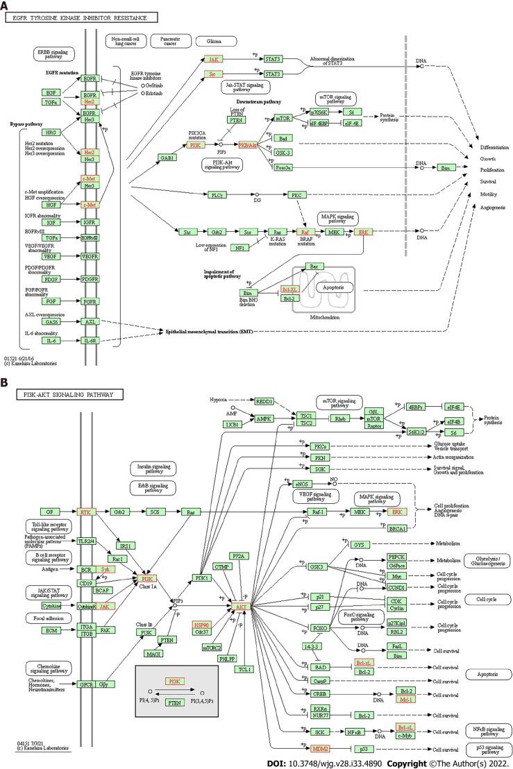 https://cdn.ncbi.nlm.nih.gov/pmc/blobs/effe/9476852/a9def0a1da1d/WJG-28-4890-g006.jpg