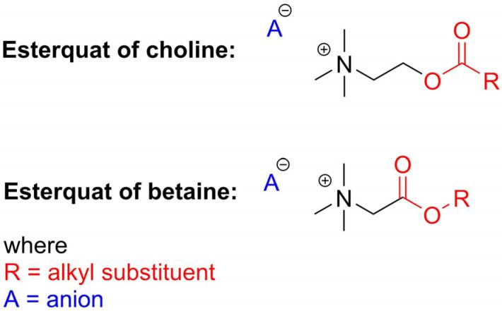 https://cdn.ncbi.nlm.nih.gov/pmc/blobs/f000/11171562/00ffe5f0b88b/ijms-25-05761-g003.jpg