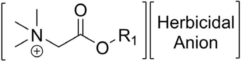 https://cdn.ncbi.nlm.nih.gov/pmc/blobs/f000/11171562/48b48343a61e/ijms-25-05761-g007.jpg