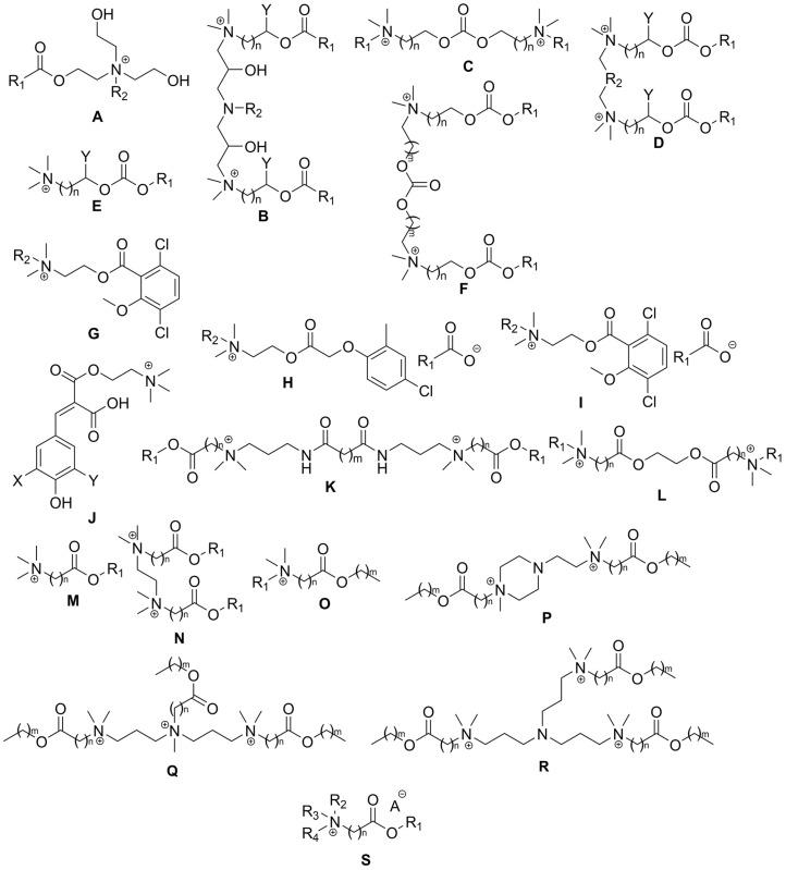 https://cdn.ncbi.nlm.nih.gov/pmc/blobs/f000/11171562/85bf599c5fde/ijms-25-05761-g012.jpg