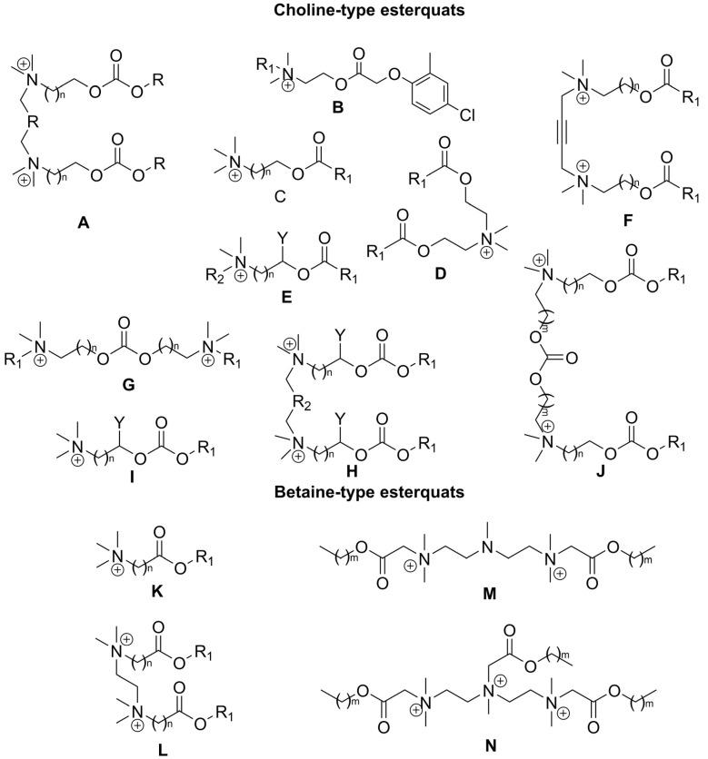 https://cdn.ncbi.nlm.nih.gov/pmc/blobs/f000/11171562/89537dbc38b5/ijms-25-05761-g011.jpg