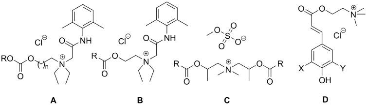 https://cdn.ncbi.nlm.nih.gov/pmc/blobs/f000/11171562/aa0e1cb2f66b/ijms-25-05761-g006.jpg