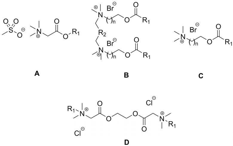 https://cdn.ncbi.nlm.nih.gov/pmc/blobs/f000/11171562/ac69715769a2/ijms-25-05761-g014.jpg