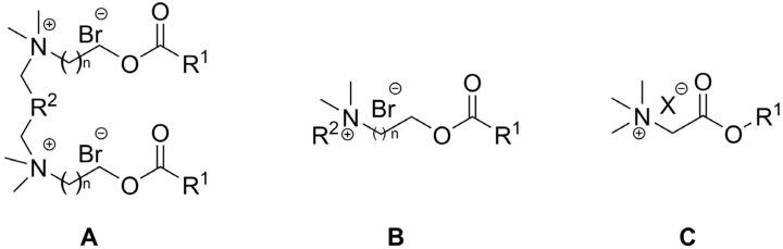 https://cdn.ncbi.nlm.nih.gov/pmc/blobs/f000/11171562/c2f86529e304/ijms-25-05761-g021.jpg