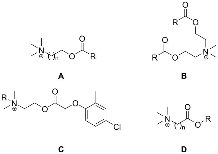 https://cdn.ncbi.nlm.nih.gov/pmc/blobs/f000/11171562/d083afbc3b4c/ijms-25-05761-g019.jpg