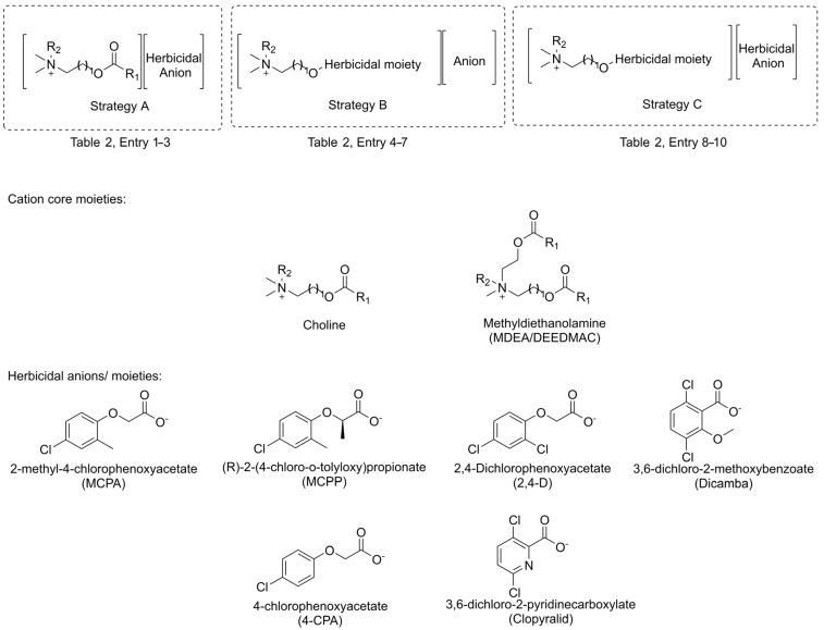 https://cdn.ncbi.nlm.nih.gov/pmc/blobs/f000/11171562/f527b2b49617/ijms-25-05761-g004.jpg