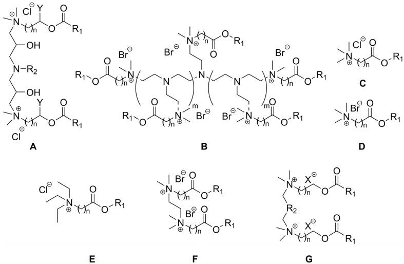 https://cdn.ncbi.nlm.nih.gov/pmc/blobs/f000/11171562/f5750fe8e6b6/ijms-25-05761-g017.jpg