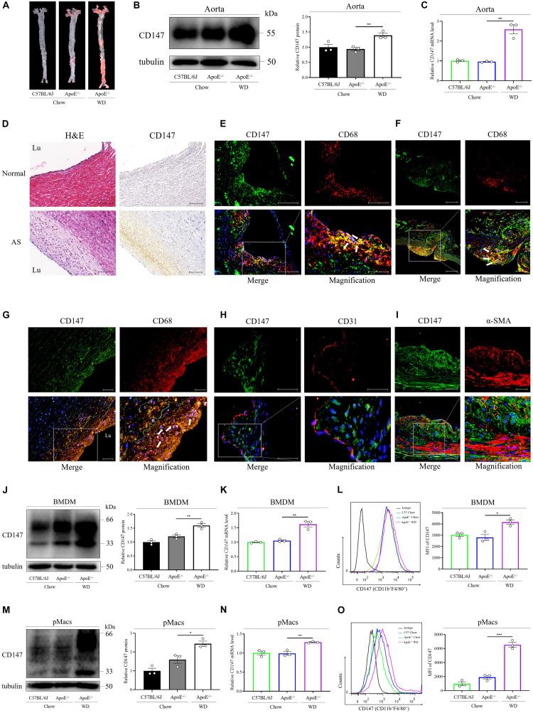 https://cdn.ncbi.nlm.nih.gov/pmc/blobs/f000/7820343/b202526e7eac/fcell-08-609090-g001.jpg