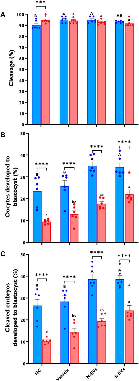 https://cdn.ncbi.nlm.nih.gov/pmc/blobs/f003/10116072/8448aaf82301/fcell-11-1142629-g006.jpg