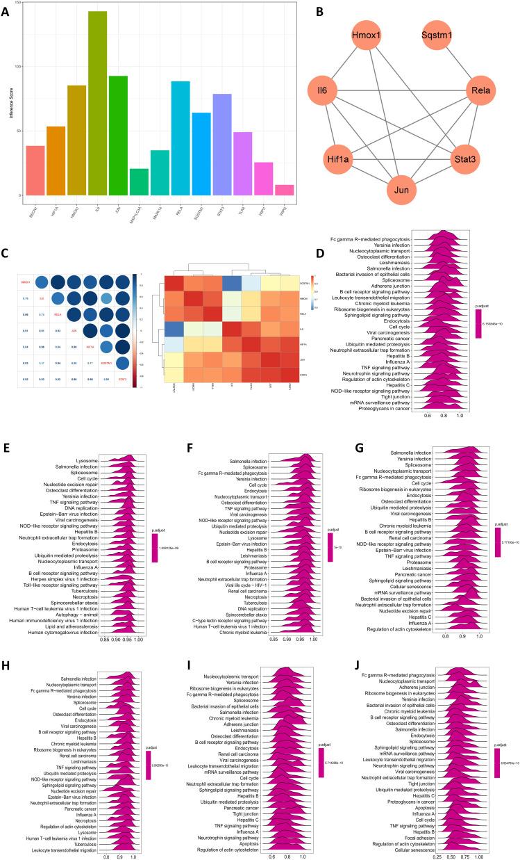 https://cdn.ncbi.nlm.nih.gov/pmc/blobs/f003/10563811/b225f88bc796/JIR-16-4425-g0005.jpg