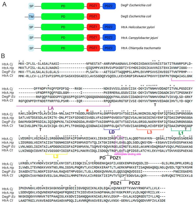 https://cdn.ncbi.nlm.nih.gov/pmc/blobs/f003/11642142/262cb7355cc4/ijms-25-13182-g002.jpg