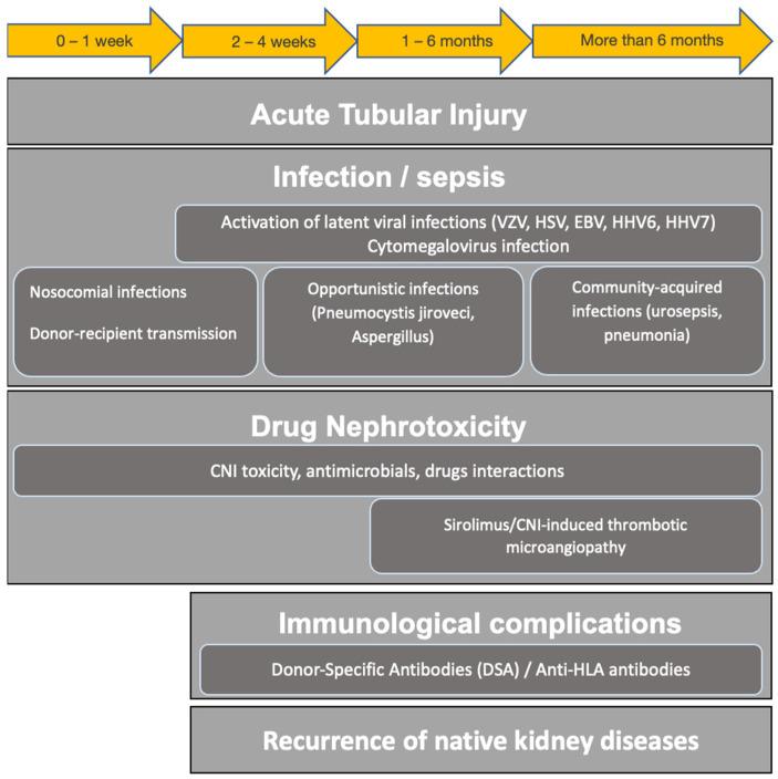 https://cdn.ncbi.nlm.nih.gov/pmc/blobs/f005/10216683/360e2f49722a/biomedicines-11-01474-g001.jpg