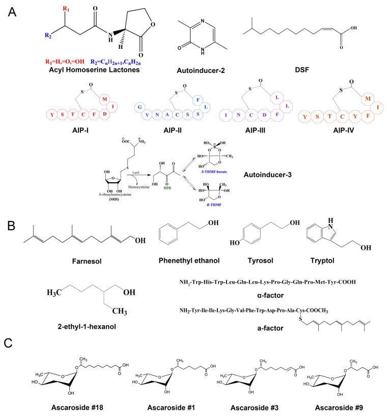 https://cdn.ncbi.nlm.nih.gov/pmc/blobs/f008/12154563/3b2f562f4a02/ijms-26-05235-g001.jpg