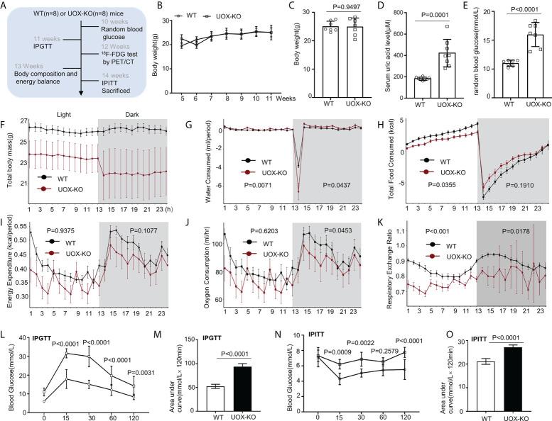 https://cdn.ncbi.nlm.nih.gov/pmc/blobs/f00b/9513153/244f5bd50897/fimmu-13-931087-g001.jpg