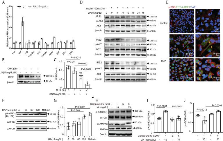 https://cdn.ncbi.nlm.nih.gov/pmc/blobs/f00b/9513153/29d4241efa17/fimmu-13-931087-g005.jpg