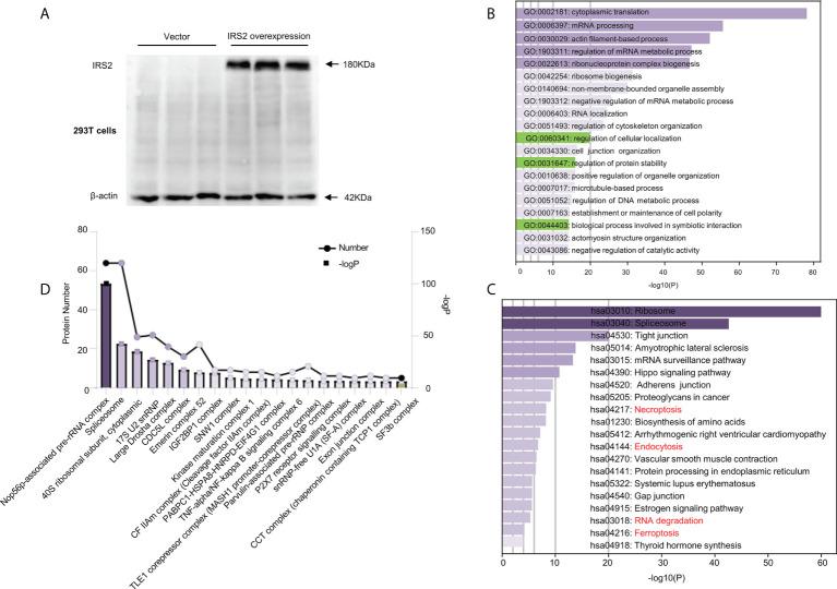 https://cdn.ncbi.nlm.nih.gov/pmc/blobs/f00b/9513153/78b27b3c614d/fimmu-13-931087-g006.jpg