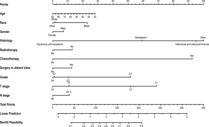 https://cdn.ncbi.nlm.nih.gov/pmc/blobs/f00c/8807493/9e5f1a4c90ef/fonc-11-809664-g004.jpg