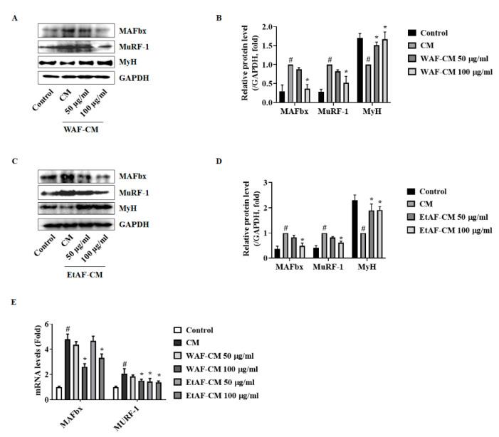 https://cdn.ncbi.nlm.nih.gov/pmc/blobs/f011/7603378/a0dbc42fb243/nutrients-12-03195-g008.jpg