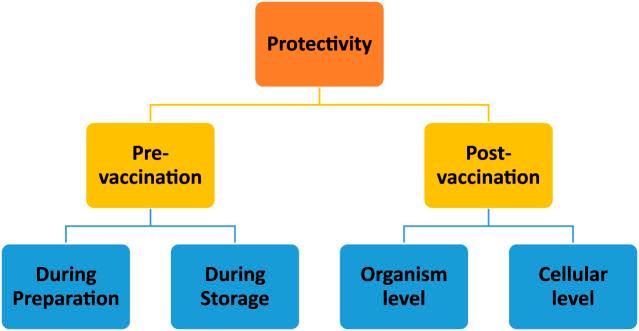 https://cdn.ncbi.nlm.nih.gov/pmc/blobs/f012/11303186/8c19c0106da8/jpps-27-12921-g005.jpg