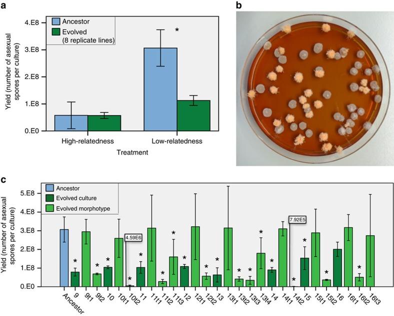 https://cdn.ncbi.nlm.nih.gov/pmc/blobs/f014/4857390/a88f9d381458/ncomms11435-f2.jpg