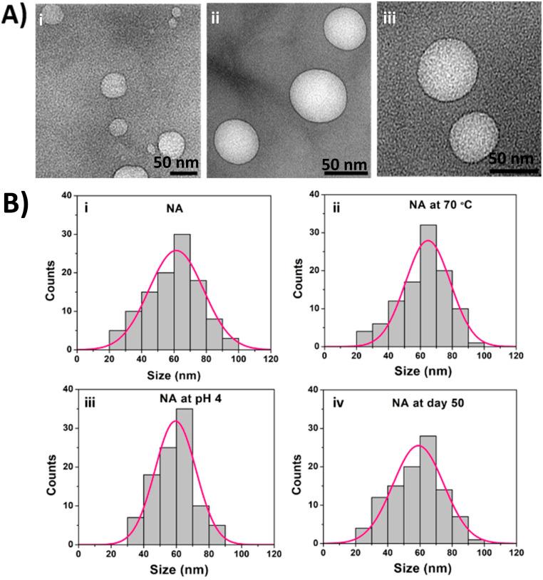 https://cdn.ncbi.nlm.nih.gov/pmc/blobs/f016/11019490/c82d7bc26f5c/d3na00953j-f1.jpg