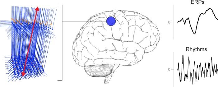 https://cdn.ncbi.nlm.nih.gov/pmc/blobs/f018/7018509/cd8148caa060/elife-51214-fig2.jpg