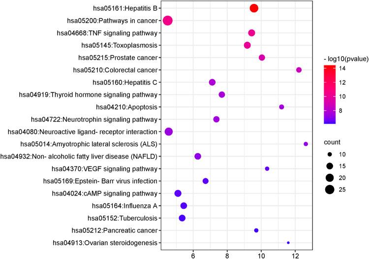 https://cdn.ncbi.nlm.nih.gov/pmc/blobs/f019/10235815/626420e25147/fphar-14-1117238-g009.jpg