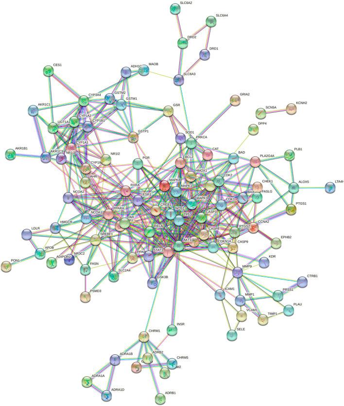 https://cdn.ncbi.nlm.nih.gov/pmc/blobs/f019/10235815/90d4cb1c9ad8/fphar-14-1117238-g006.jpg