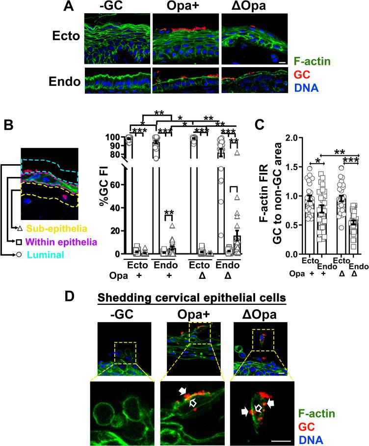 https://cdn.ncbi.nlm.nih.gov/pmc/blobs/f01f/8668114/1e1223b0171b/ppat.1009592.g006.jpg
