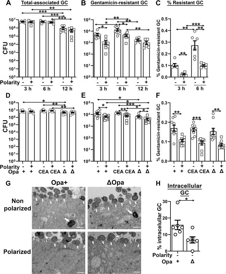 https://cdn.ncbi.nlm.nih.gov/pmc/blobs/f01f/8668114/6e2b8eba44e9/ppat.1009592.g001.jpg