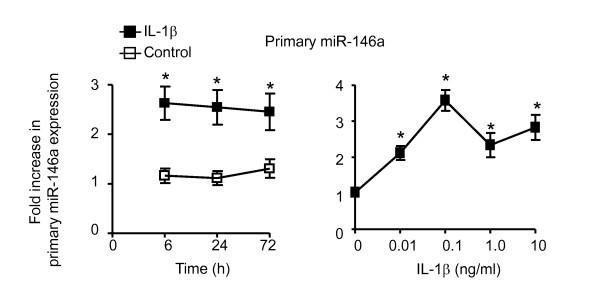 https://cdn.ncbi.nlm.nih.gov/pmc/blobs/f020/2894768/b13c5aade4e8/1465-9921-11-68-2.jpg