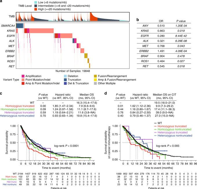 https://cdn.ncbi.nlm.nih.gov/pmc/blobs/f020/7609548/64b98c2632f8/41467_2020_19402_Fig2_HTML.jpg