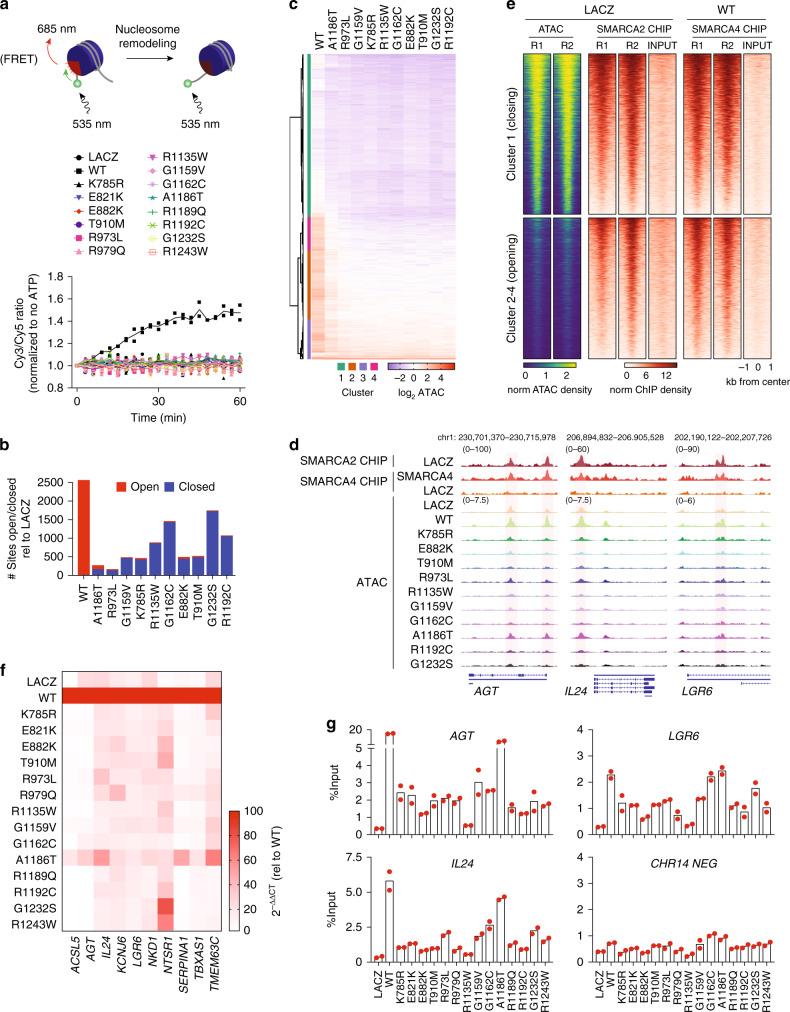https://cdn.ncbi.nlm.nih.gov/pmc/blobs/f020/7609548/9db0e8d9ebf6/41467_2020_19402_Fig4_HTML.jpg