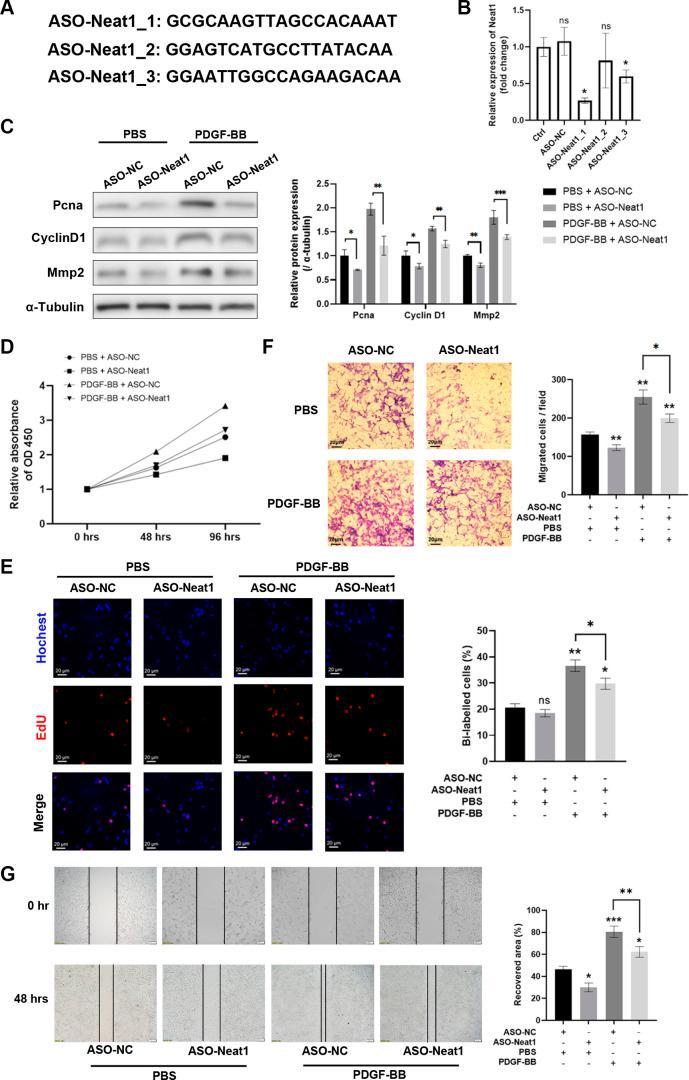 https://cdn.ncbi.nlm.nih.gov/pmc/blobs/f021/11371316/4175ee263995/ajpcell.00587.2023_f002.jpg