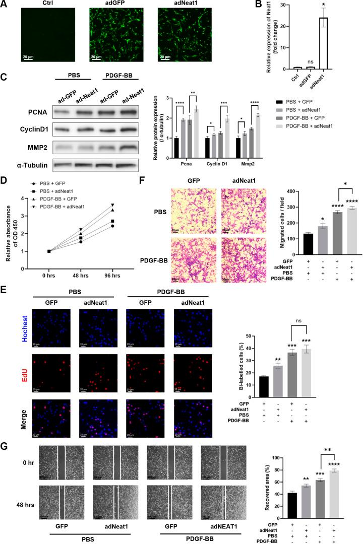 https://cdn.ncbi.nlm.nih.gov/pmc/blobs/f021/11371316/4f835641374f/ajpcell.00587.2023_f003.jpg