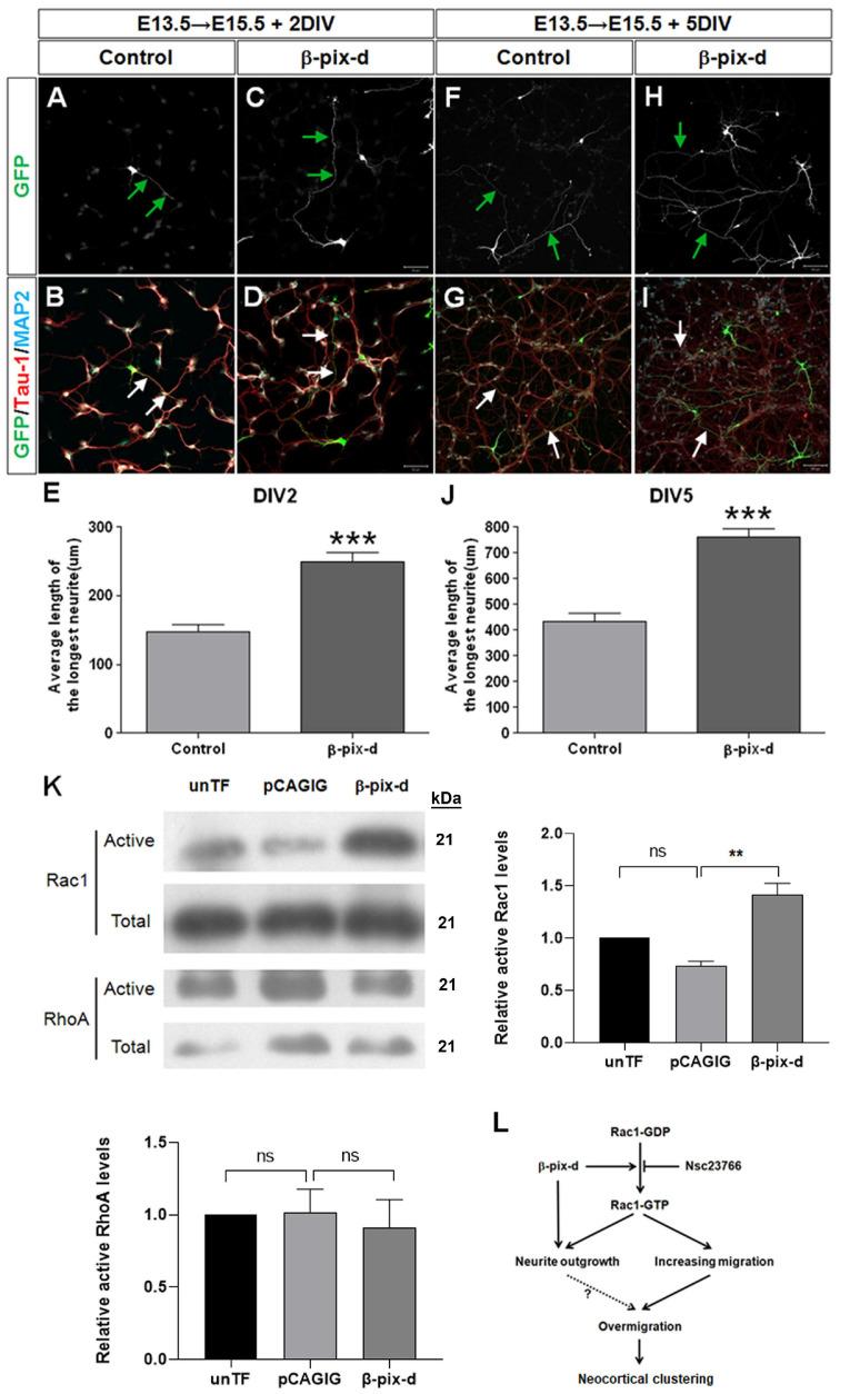 https://cdn.ncbi.nlm.nih.gov/pmc/blobs/f021/11581827/f85afbc29017/en-33-5-215-f3.jpg