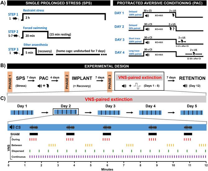 https://cdn.ncbi.nlm.nih.gov/pmc/blobs/f021/9530175/6039b353ccae/41598_2022_20301_Fig1_HTML.jpg