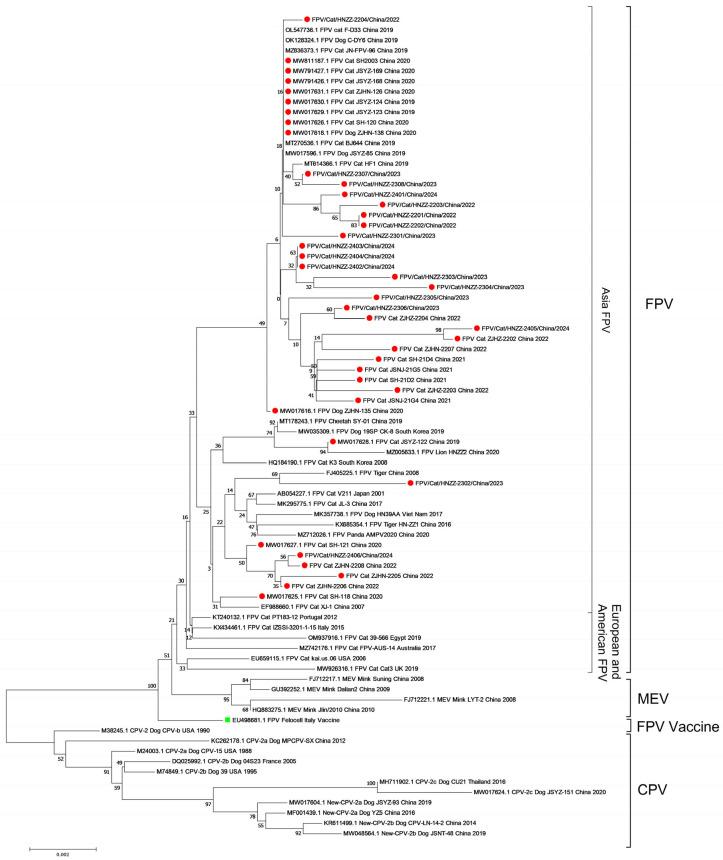https://cdn.ncbi.nlm.nih.gov/pmc/blobs/f024/11728606/1be208229626/viruses-16-01967-g003.jpg