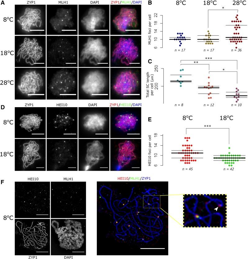 https://cdn.ncbi.nlm.nih.gov/pmc/blobs/f025/5887139/94e143efe9a6/1409fig3.jpg