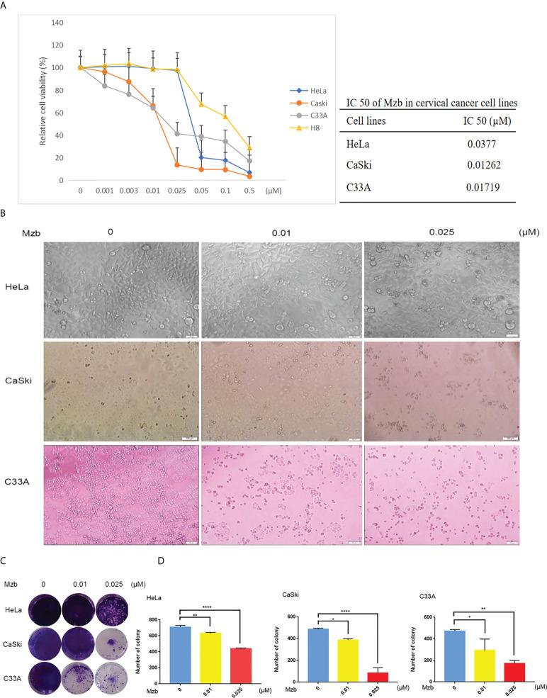 https://cdn.ncbi.nlm.nih.gov/pmc/blobs/f026/9468930/bbe163039d71/fonc-12-974573-g001.jpg