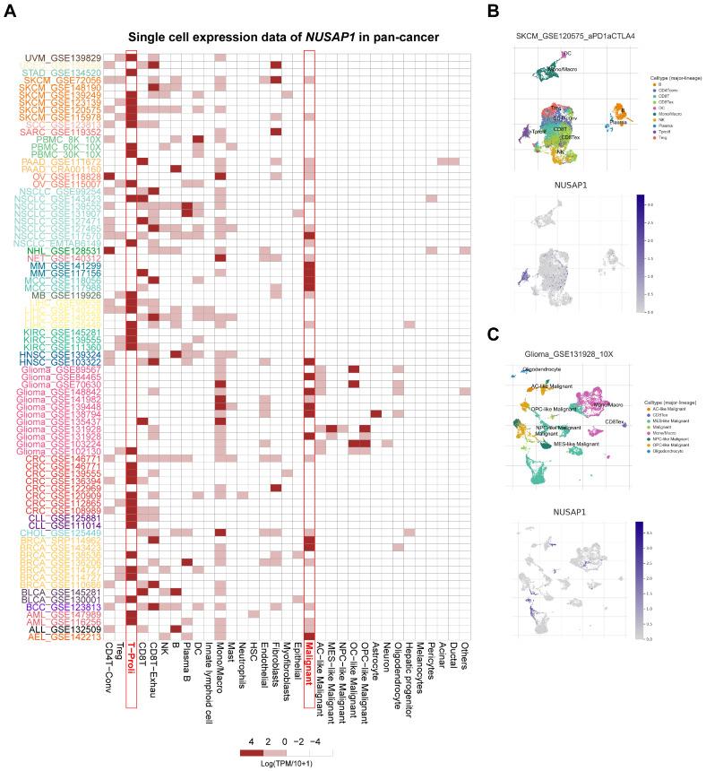 https://cdn.ncbi.nlm.nih.gov/pmc/blobs/f027/10535697/8d94e9963743/ijbsv19p4689g003.jpg