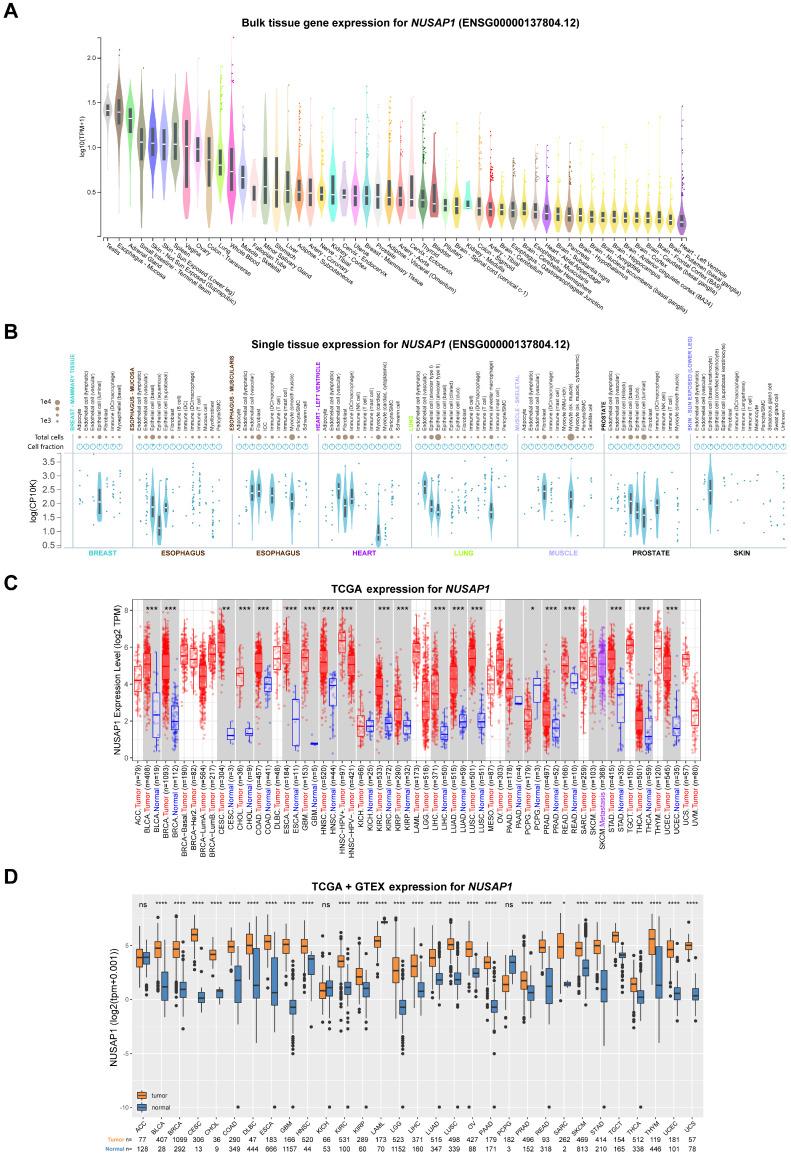 https://cdn.ncbi.nlm.nih.gov/pmc/blobs/f027/10535697/cd13b534a4d6/ijbsv19p4689g001.jpg