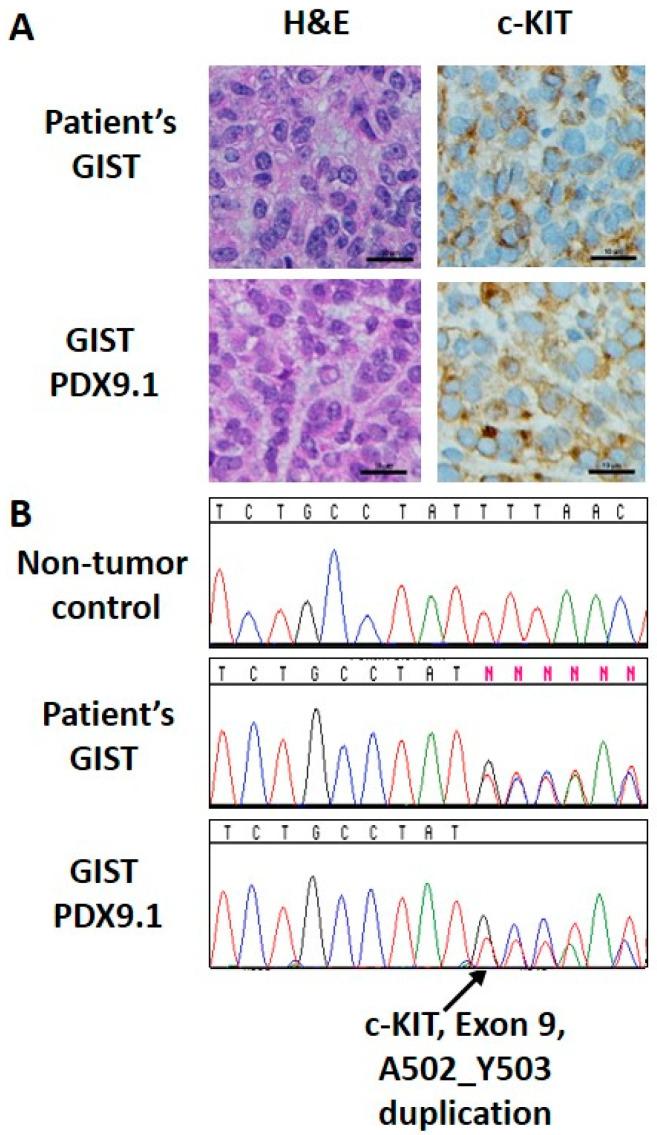 https://cdn.ncbi.nlm.nih.gov/pmc/blobs/f027/8345102/c43678657142/cancers-13-03699-g005.jpg