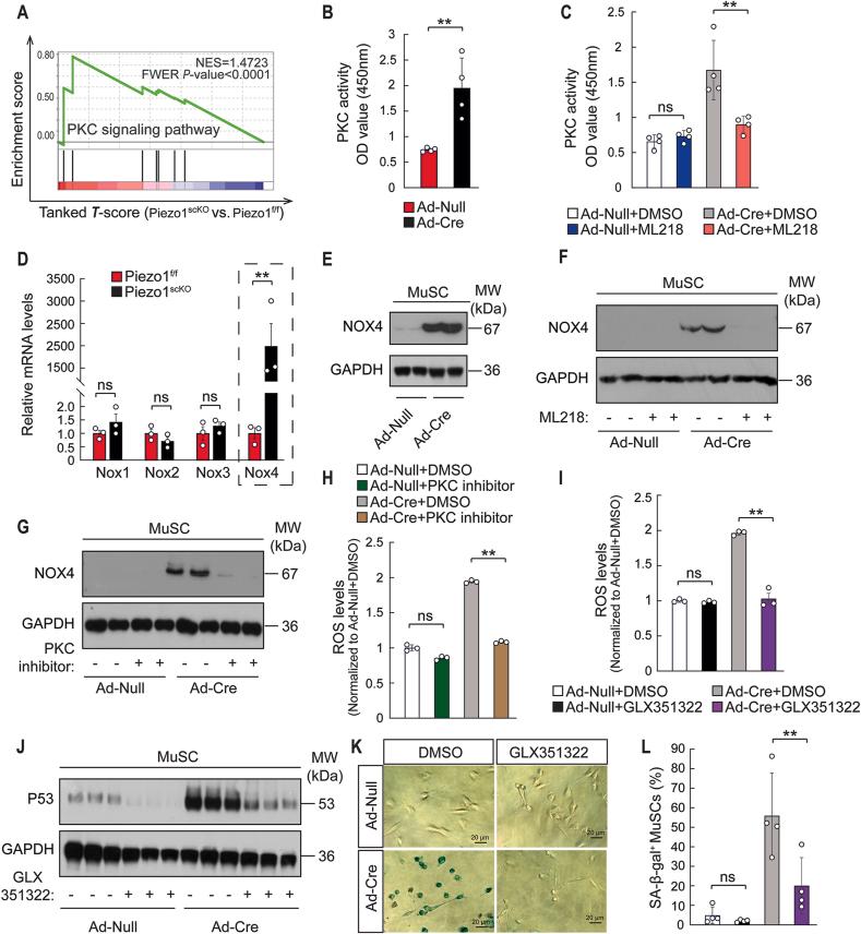 https://cdn.ncbi.nlm.nih.gov/pmc/blobs/f027/9005960/765364dfbbc8/gr7.jpg
