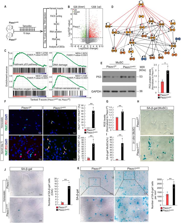 https://cdn.ncbi.nlm.nih.gov/pmc/blobs/f027/9005960/7a2136fb0f67/gr5.jpg