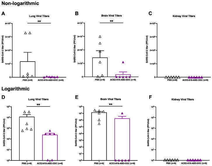 https://cdn.ncbi.nlm.nih.gov/pmc/blobs/f028/10854654/39cecb9a9c71/cells-13-00203-g003.jpg