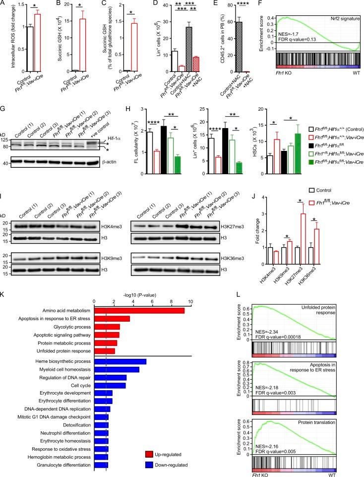 https://cdn.ncbi.nlm.nih.gov/pmc/blobs/f02b/5339674/e4c240a9abae/JEM_20161087_Fig4.jpg