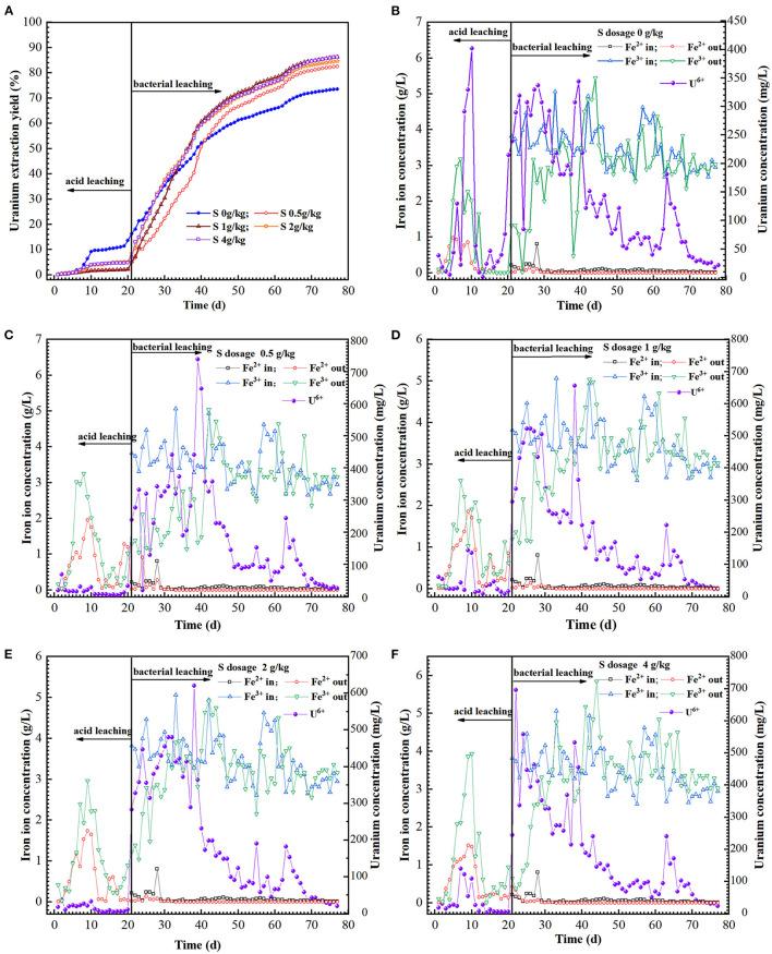 https://cdn.ncbi.nlm.nih.gov/pmc/blobs/f02b/9911114/ecef4e918df4/fmicb-14-1107649-g0003.jpg