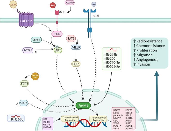 https://cdn.ncbi.nlm.nih.gov/pmc/blobs/f02d/10568859/48cacfb04d28/12935_2023_3090_Fig3_HTML.jpg